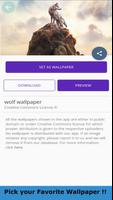 Wild Wolf Wallpaper 4K 截圖 1