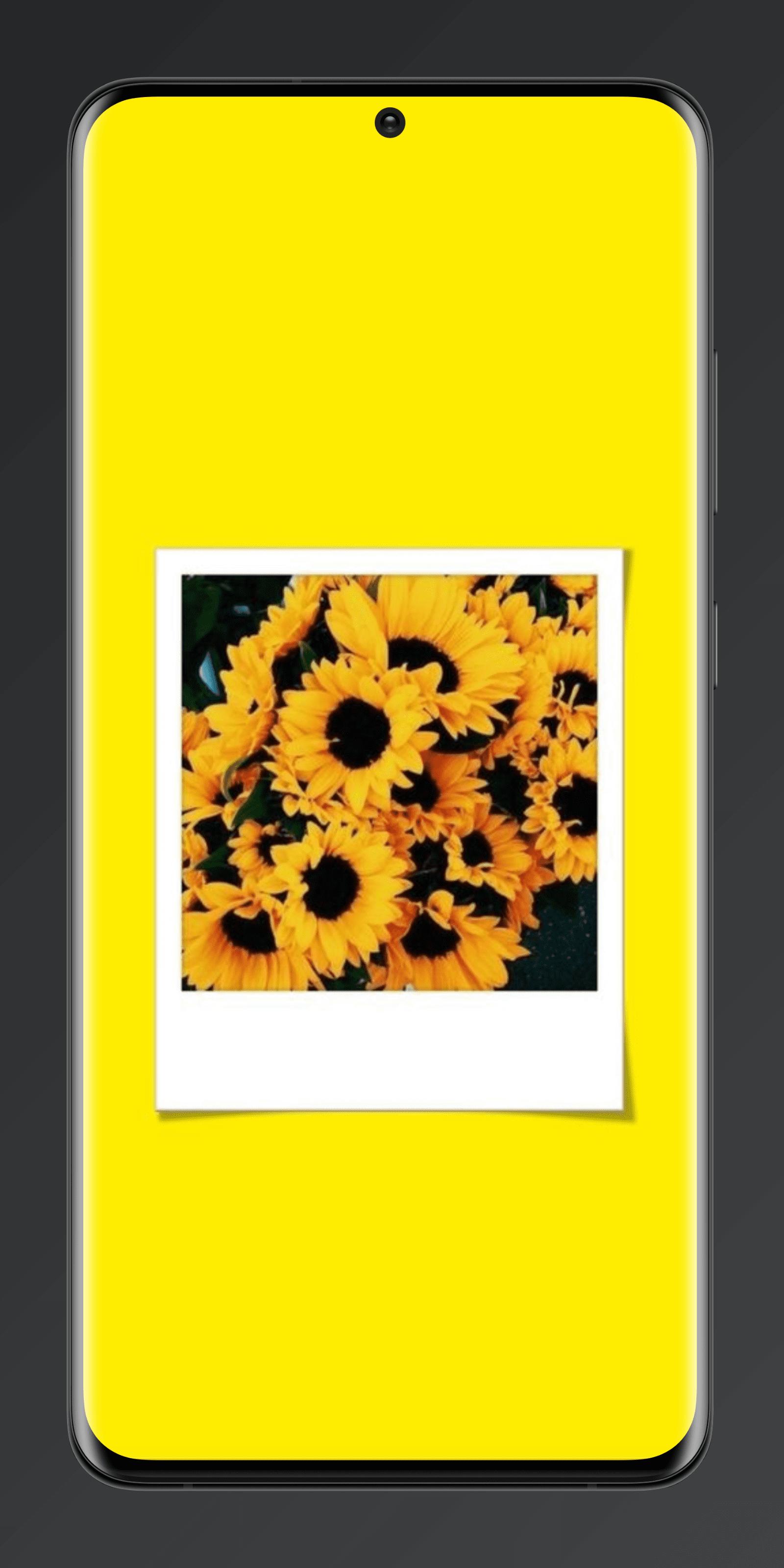 Aesthetic Yellow Wallpaper 4K APK for Android Download Aesthetic Yellow Wallpaper 4K APK for Android Download