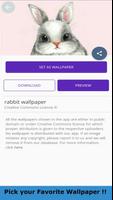 1 Schermata Rabbit Wallpaper 4K