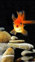 i am the fish wallpapers HD poster