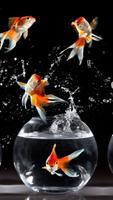 i am the fish wallpapers HD screenshot 3