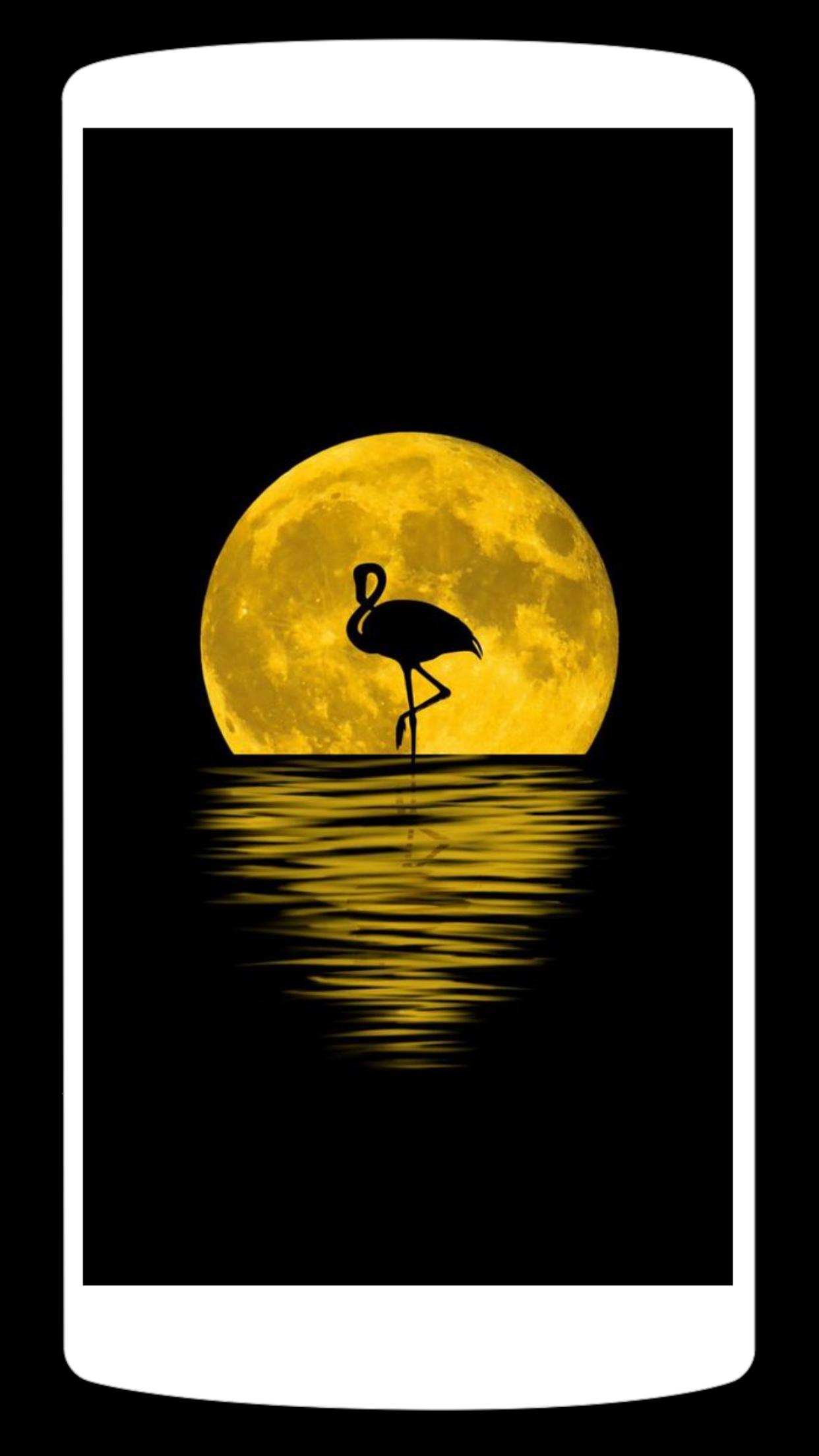 Full Moon Wallpaper HD | 4K APK for Android Download Full Moon Wallpaper HD | 4K APK for Android Download