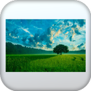Wallpaper Hd APK