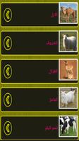 الاغذية الصحية فوائد الاطعمة screenshot 2