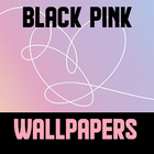 iWall | BlackPink Wallpapers o icône
