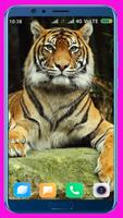 Tiger HD Wallpaper ảnh chụp màn hình 3
