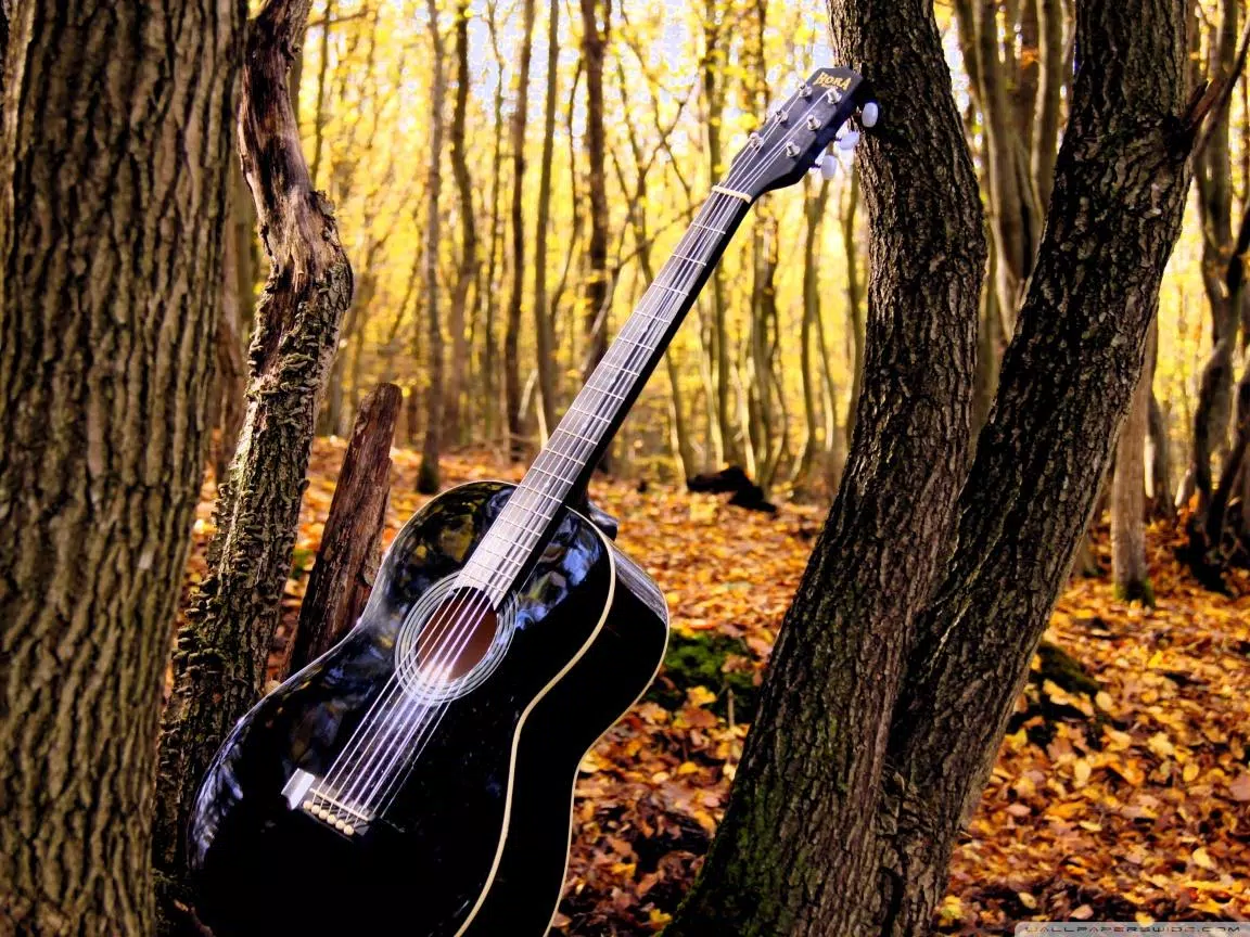 Descarga de APK de Música Fondos de pantalla para Android Descarga de APK de Música Fondos de pantalla para Android