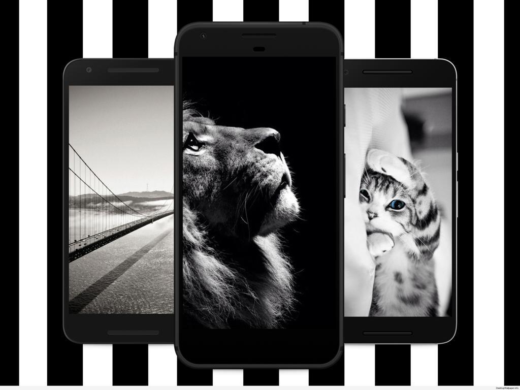 The Best and Most Comprehensive Black And White Home Screen Wallpaper