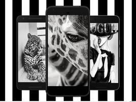 Black White Wallpapers,Home Screen and Backgrounds poster