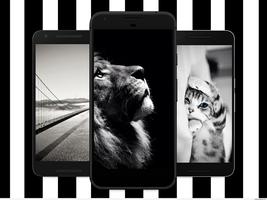 Black White Wallpapers,Home Screen and Backgrounds screenshot 2