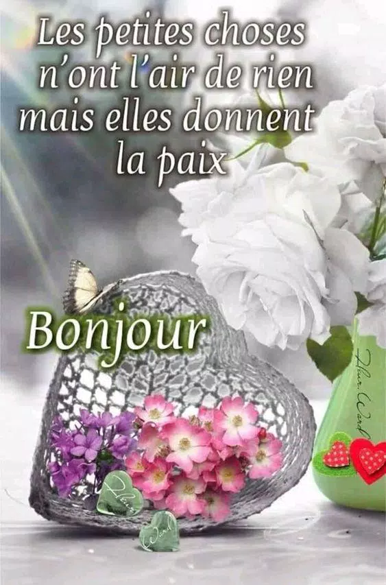 Bonjour Bonne Nuit Bonsoir Gifs Apk Pour Android Telecharger