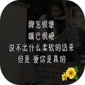 句子