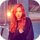 Rose BlackPink Wallpaper KPOP aplikacja