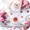 Открытки Доброе утречко