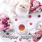 Открытки Доброе утречко ไอคอน