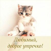 Открытки Доброе утречко ภาพหน้าจอ 2