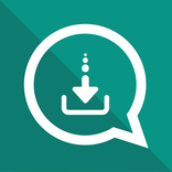 WAMR: Recover Deleted Messages
