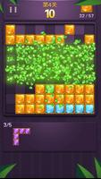 Block Puzzle capture d'écran 3