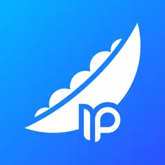 豌豆ip-静态网络安全接入服务 XAPK download