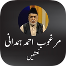 APK Marghoob Ahmad Hamdani Naats
