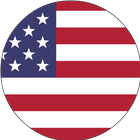 Icona Flag Show USA