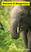 Wildlife Sri Lanka - Wasgamuwa captura de pantalla 3