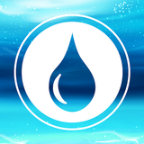 Washworld Car Wash APK