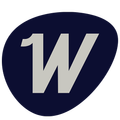 Washazone Pro