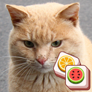 Cat match puzzle: block puzzle APK