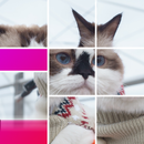 Cat slide puzzle: piece match APK