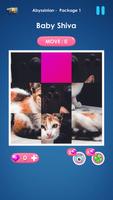 Cat slide puzzle: piece match 海報