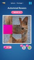 Cat slide puzzle: piece match 截圖 2