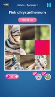 Cat slide puzzle: piece match 截圖 3