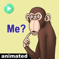Funky Monkey WASticker