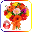 animierter Blumenstrauß-Aufkle