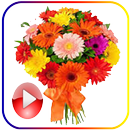 animated Bouquet Flowers stker APK