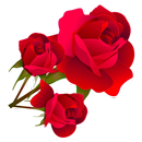 WAStickerApps Rose Day APK