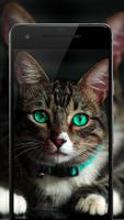 Cat Wallpaper, Kitten Pictures, Cute Images  🦁 syot layar 3