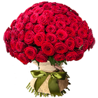WASticker - प्रेम गुलाब के फूल आइकन