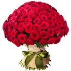 WASticker - Amor rosas icono