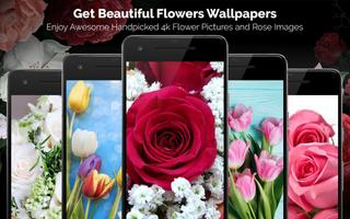 Flower Wallpapers: Rosely 2 海报
