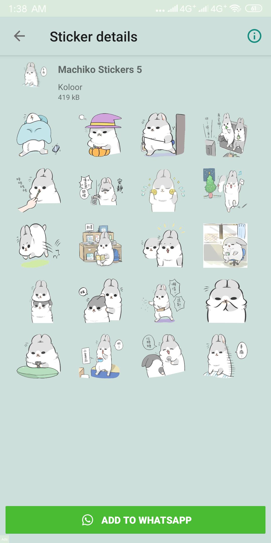 Machiko Rabbit откуда
