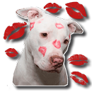 Наклейки для собак для WhatsApp - WAStickerapps APK