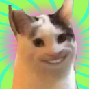 🐱 Best Cat Memes Stickers WAStickerApps 🤣 APK