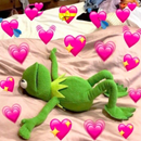 Rana Rene Stickers 🐸 APK