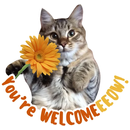WASticker - Cat Stickers APK