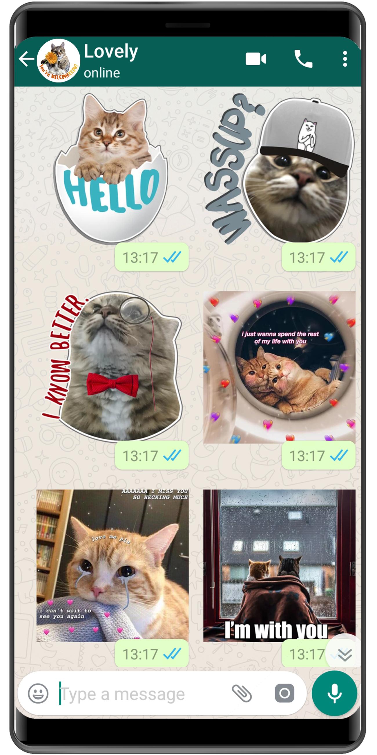 Cat Stickers Wastickerapps Cat Memes Funny For Android Apk Download