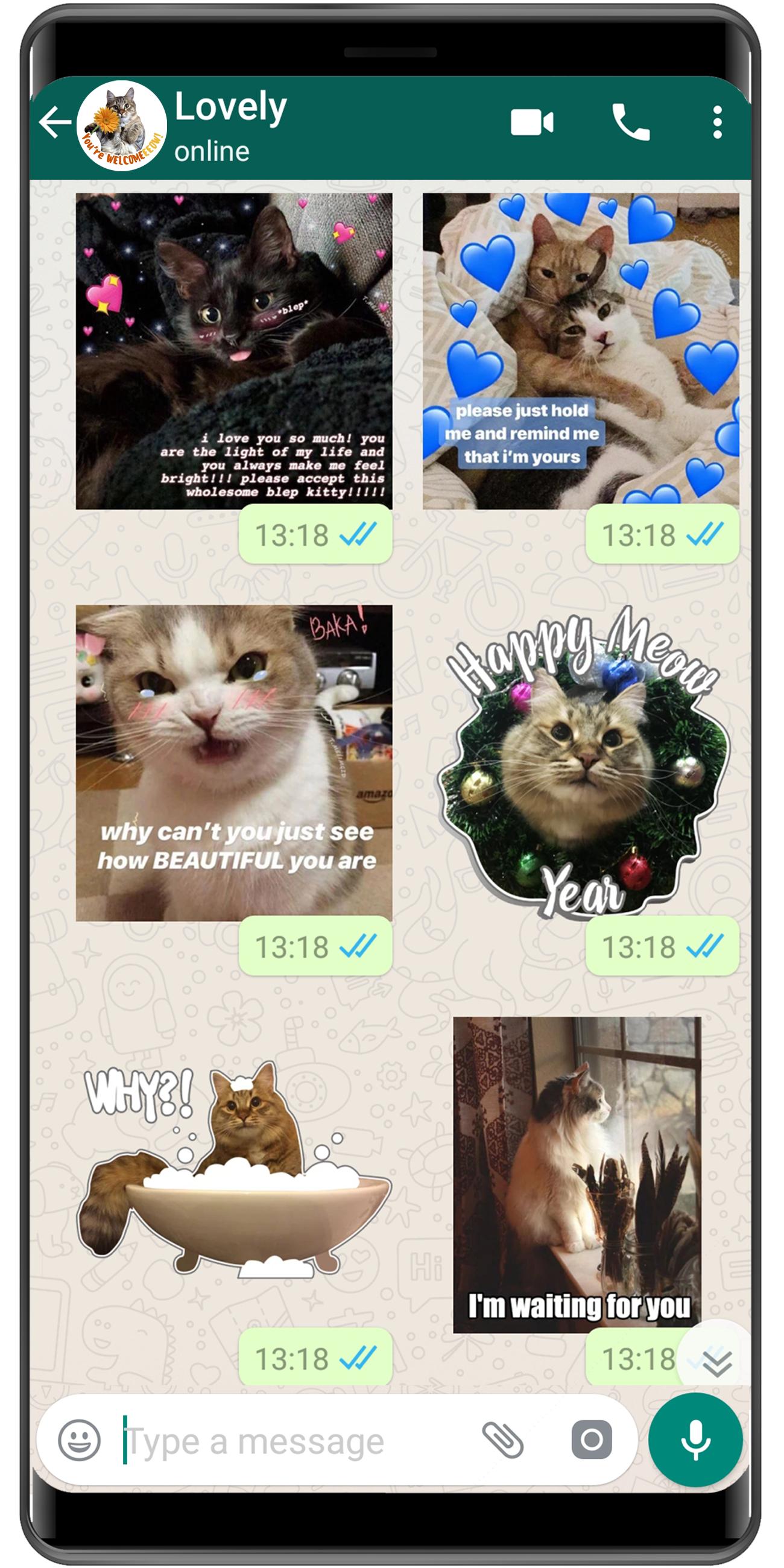 Cat Stickers Wastickerapps Cat Memes Funny For Android Apk Download