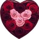 WASticker All Flowers Stickers APK