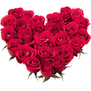 WASticker My Flowers Stickers APK